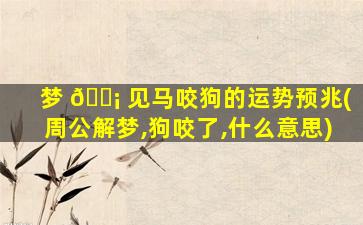 梦 🐡 见马咬狗的运势预兆(周公解梦,狗咬了,什么意思)